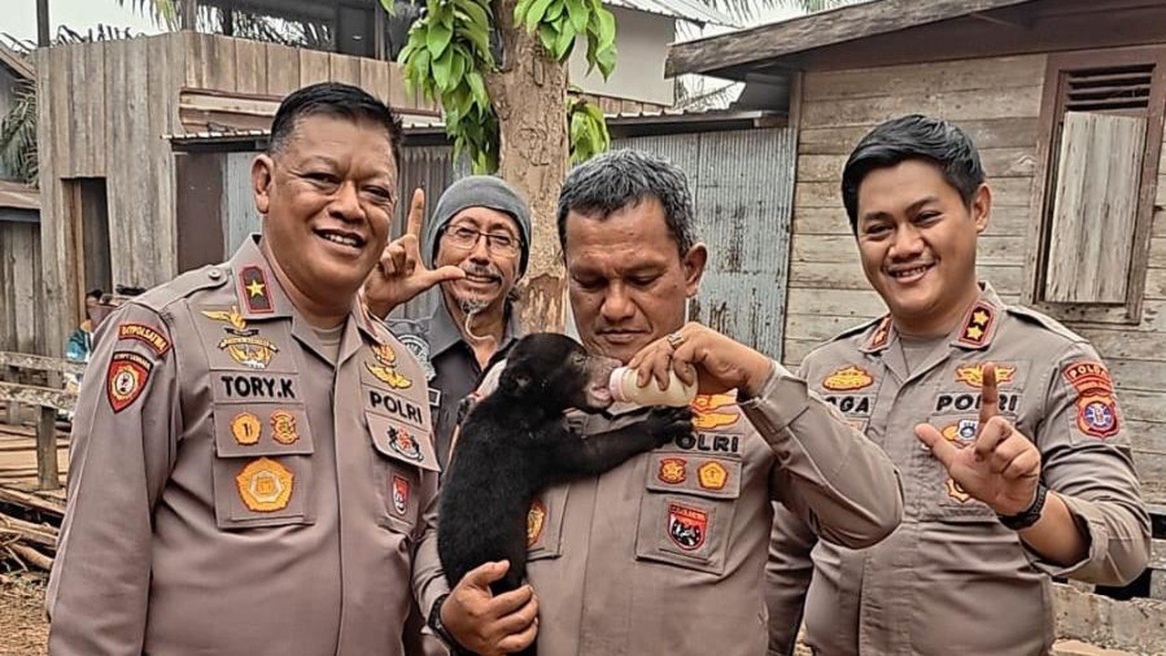 Anak Beruang Madu 'Meli' Selamat dari Karhutla Kalteng Berkat Tim Gabungan dan Warga