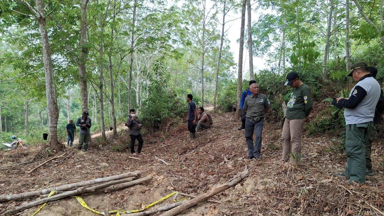 Anak Gajah Mati di Jambi, Gakkum Dalami Dugaan Kelalaian Pengamanan