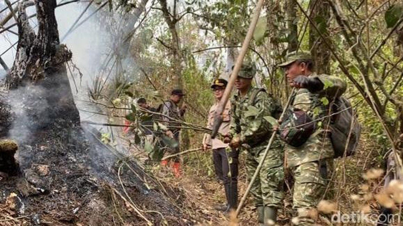 Api di Gunung Arjuno-Welirang Padam Total, Polisi Buru Penyebab Karhutla