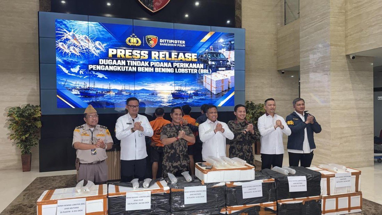 Bareskrim Gagalkan Penyelundupan 73 Ribu Benih Lobster Senilai Rp 5,8 Miliar ke Vietnam