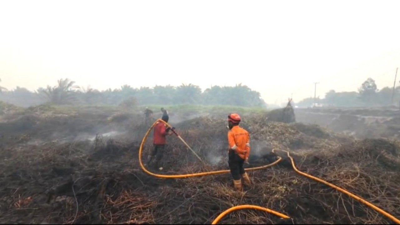 Bareskrim Polri Jerat 9 Korporasi dalam Kasus Kebakaran Hutan dan Lahan di Kalimantan