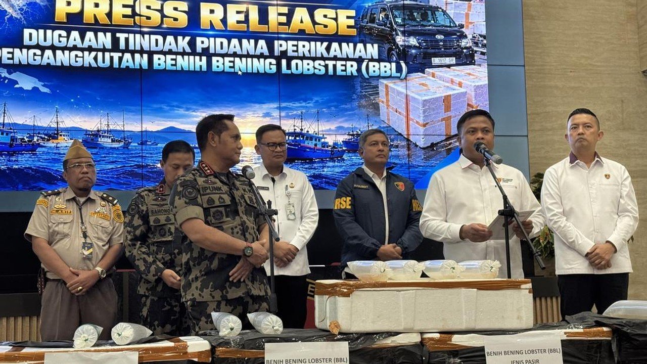 Bareskrim Ungkap Penyelundupan 73 Ribu Benih Lobster ke Vietnam, Rugikan Negara Rp 178 Miliar