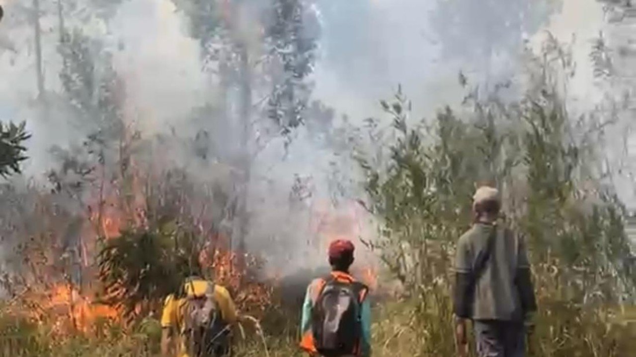 BPGMN Dibentuk, DPR Harapkan Perbaikan Pengelolaan Gambut dan Pencegahan Karhutla
