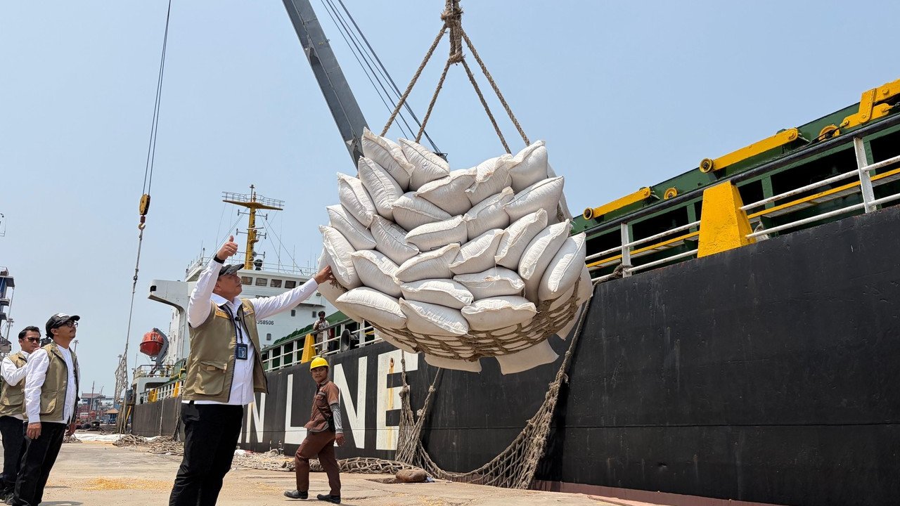 BULOG Percepat Distribusi 10.000 Ton Jagung untuk Peternak Mikro di Jawa