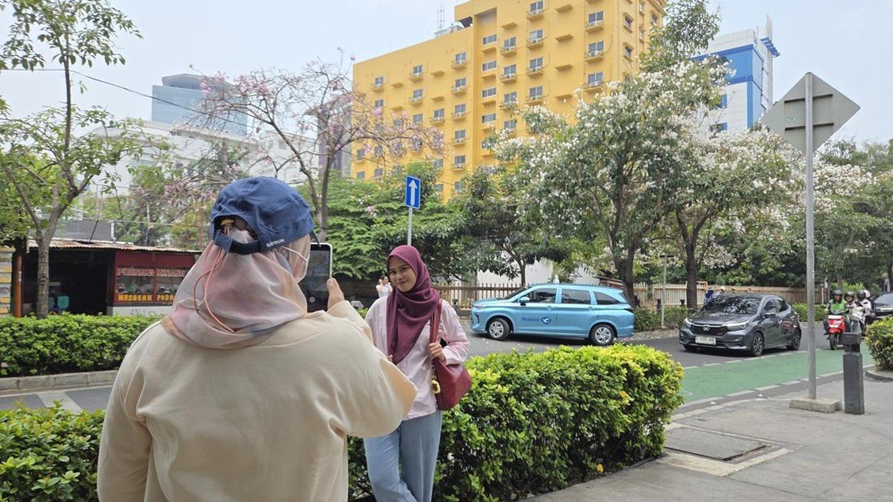 Bunga Tabebuya Mekar, Cikini Bertransformasi Jadi Spot Foto Menawan