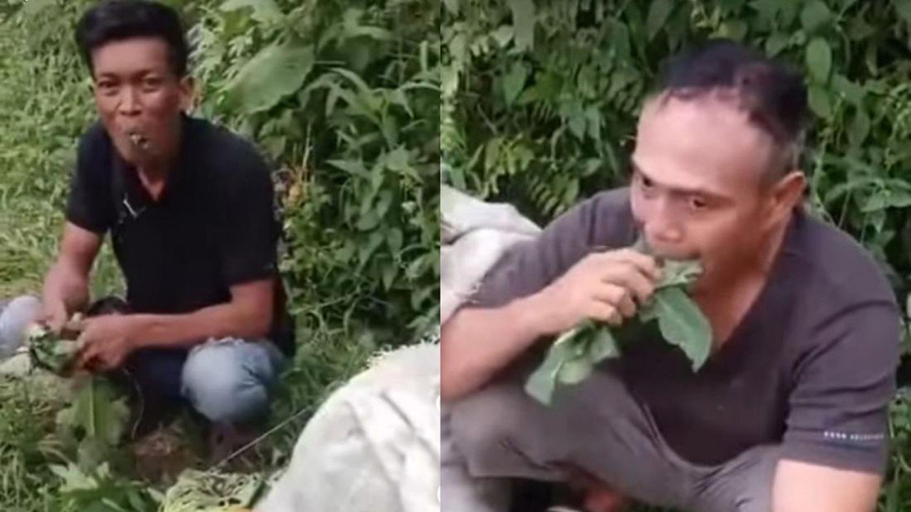 Dua Pencuri Daun Pepaya di Deli Serdang Dihukum Makan Hasil Curiannya