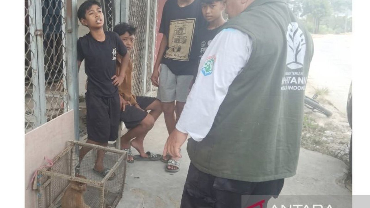 Empat Bocah Samarinda Dipuji Usai Selamatkan Bekantan yang Tersesat