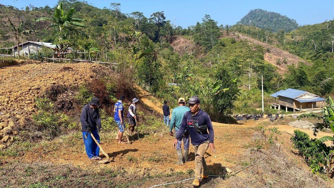 Gotong Royong Perbaiki Jembatan Lapuk, Akses Petani Kopi Mamasa Terbuka