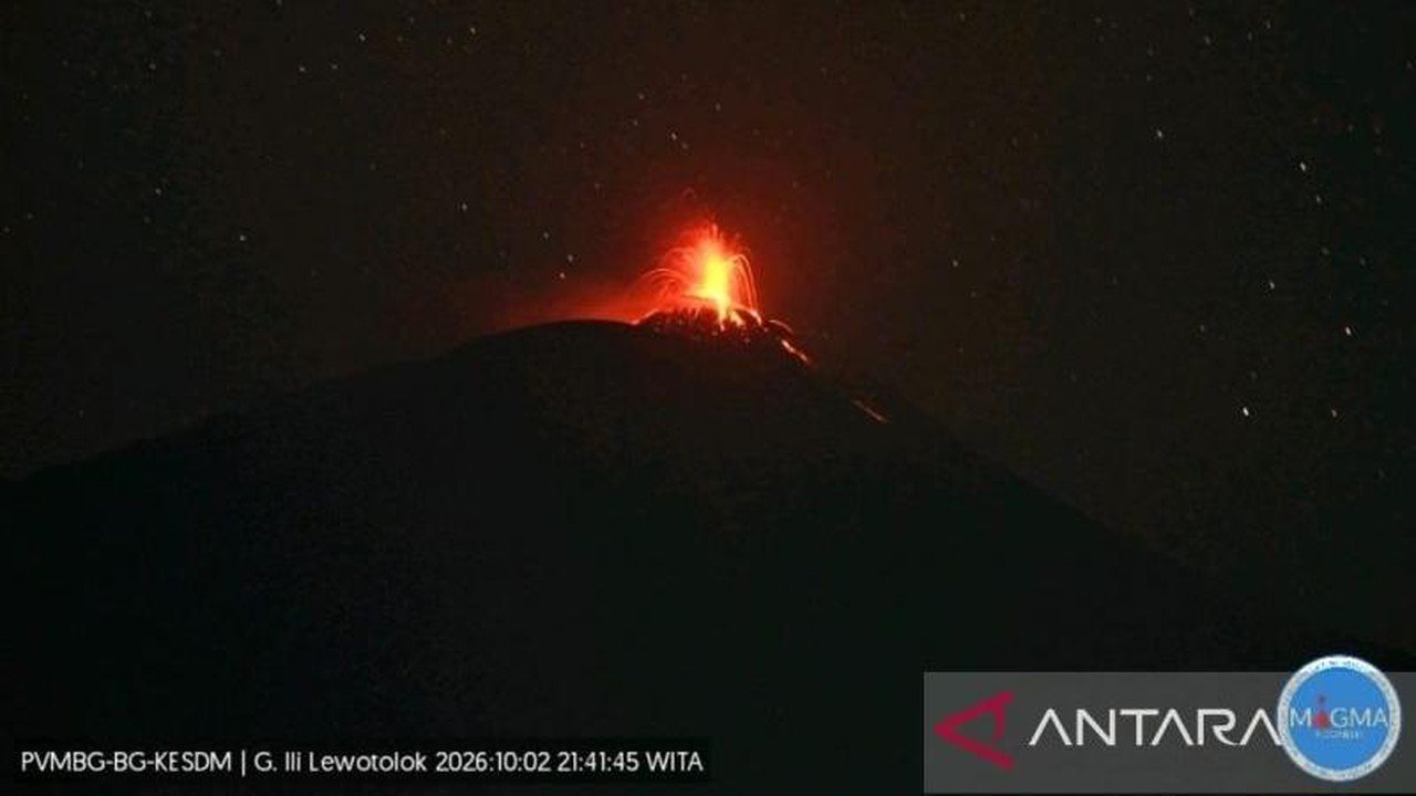 Gunung Ili Lewotolok Erupsi: Lava Mengalir 500 Meter, Status Waspada
