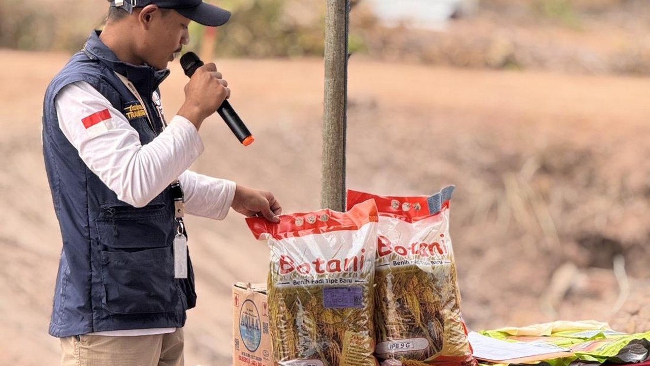 Inovasi Padi Hemat Air dari IPB untuk Petani Salor Hadapi Musim Tanam Tersulit