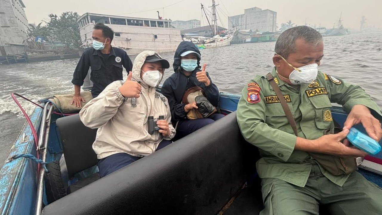 Jasad Orang Utan Mengapung di Sungai Kumai, Pencarian Tim Gabungan Belum Berhasil