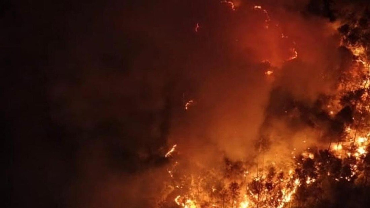 Kebakaran Gunung Ciremai Meluas dari Kuningan ke Majalengka
