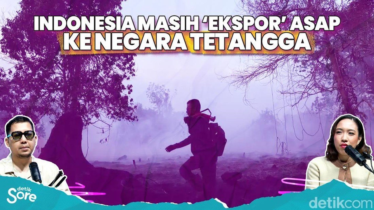 Kebakaran Hutan Meluas, Dampak Ekonomi dan Sosial Terasa di Berbagai Daerah