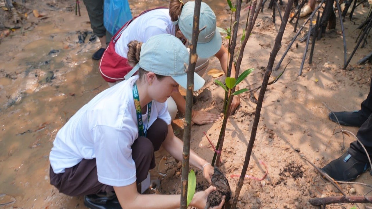 Kolaborasi Internasional Pacu Ekowisata Pesisir Batam Lewat Penanaman Mangrove