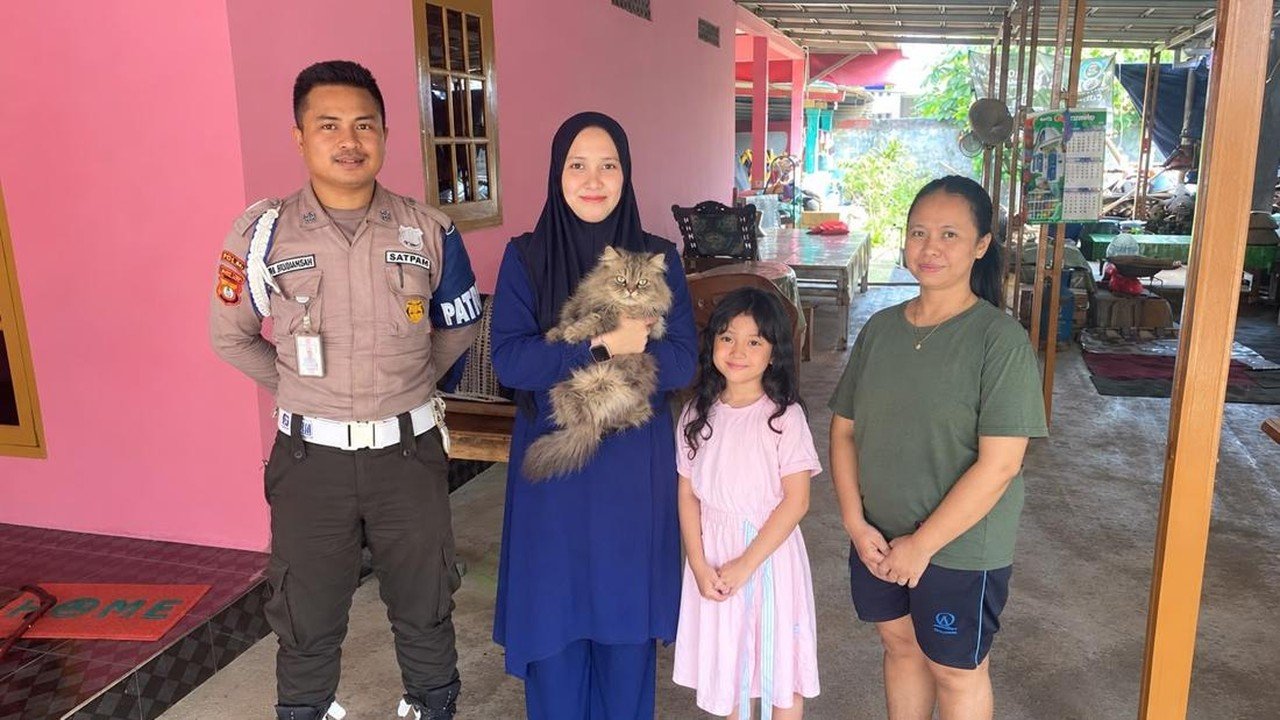 Kucing Persia Cimi yang Hilang Ditemukan di Bekasi Setelah Dibawa Pedagang Mi Ayam