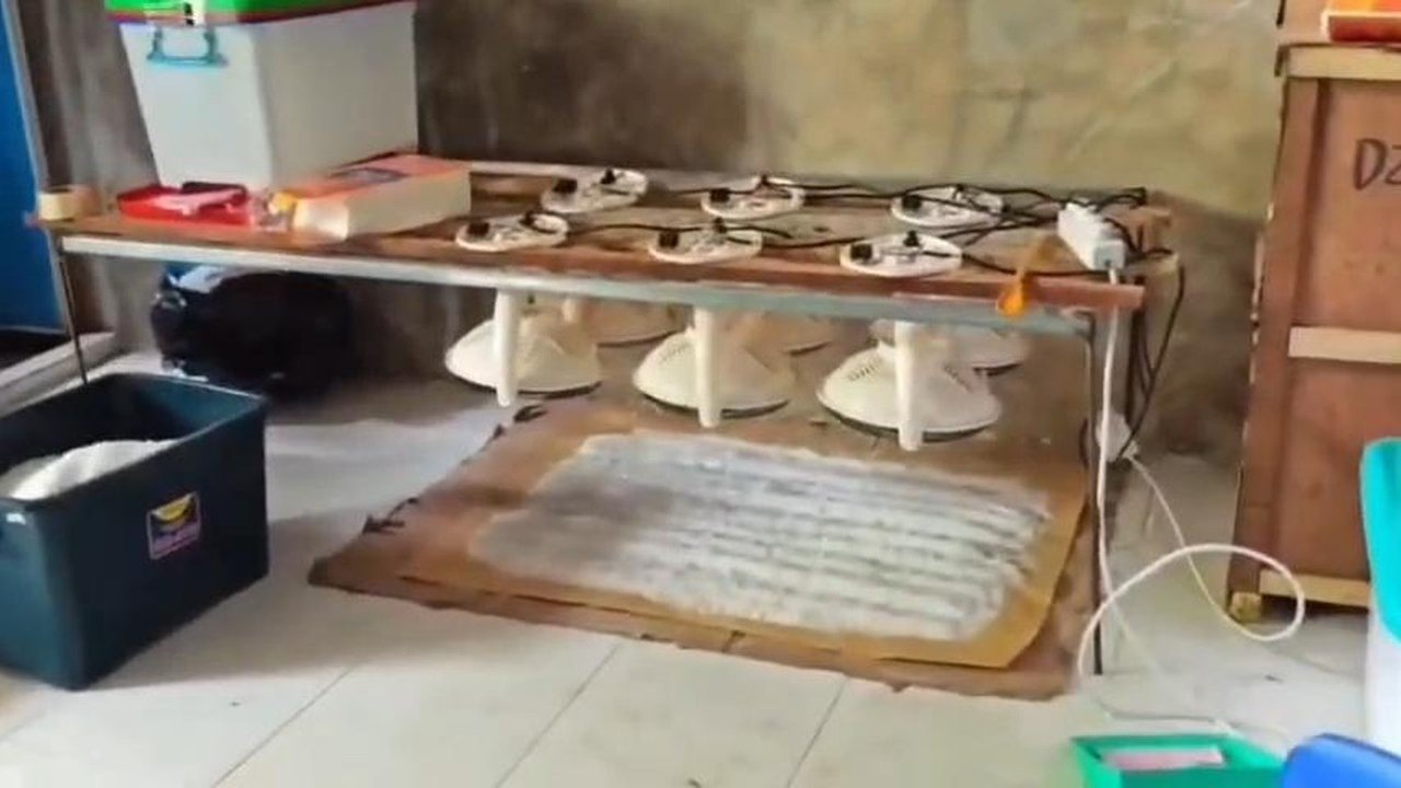 Lab Narkoba Terbesar di Indonesia Dibongkar di Aceh, Jaringan Internasional Terlibat