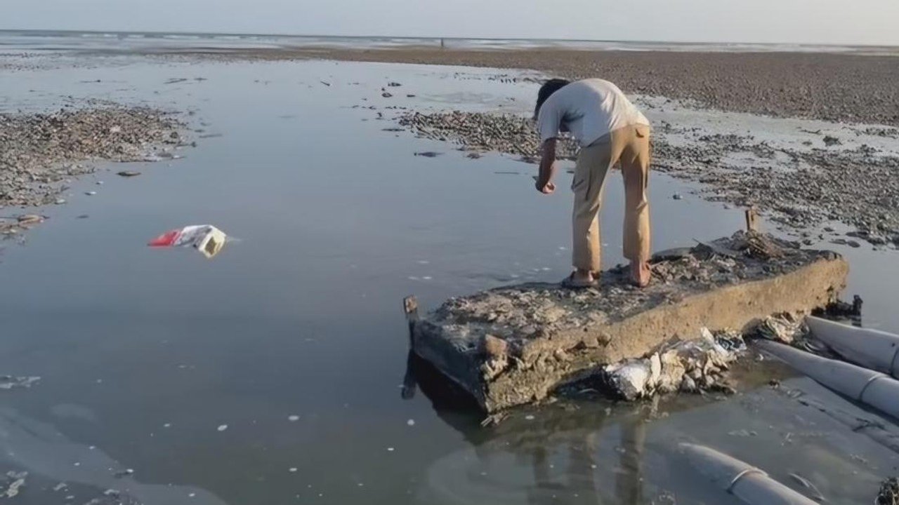 Limbah Tambak Udang Sumbawa Cemari Laut, Pemprov NTB Ancam Sanksi