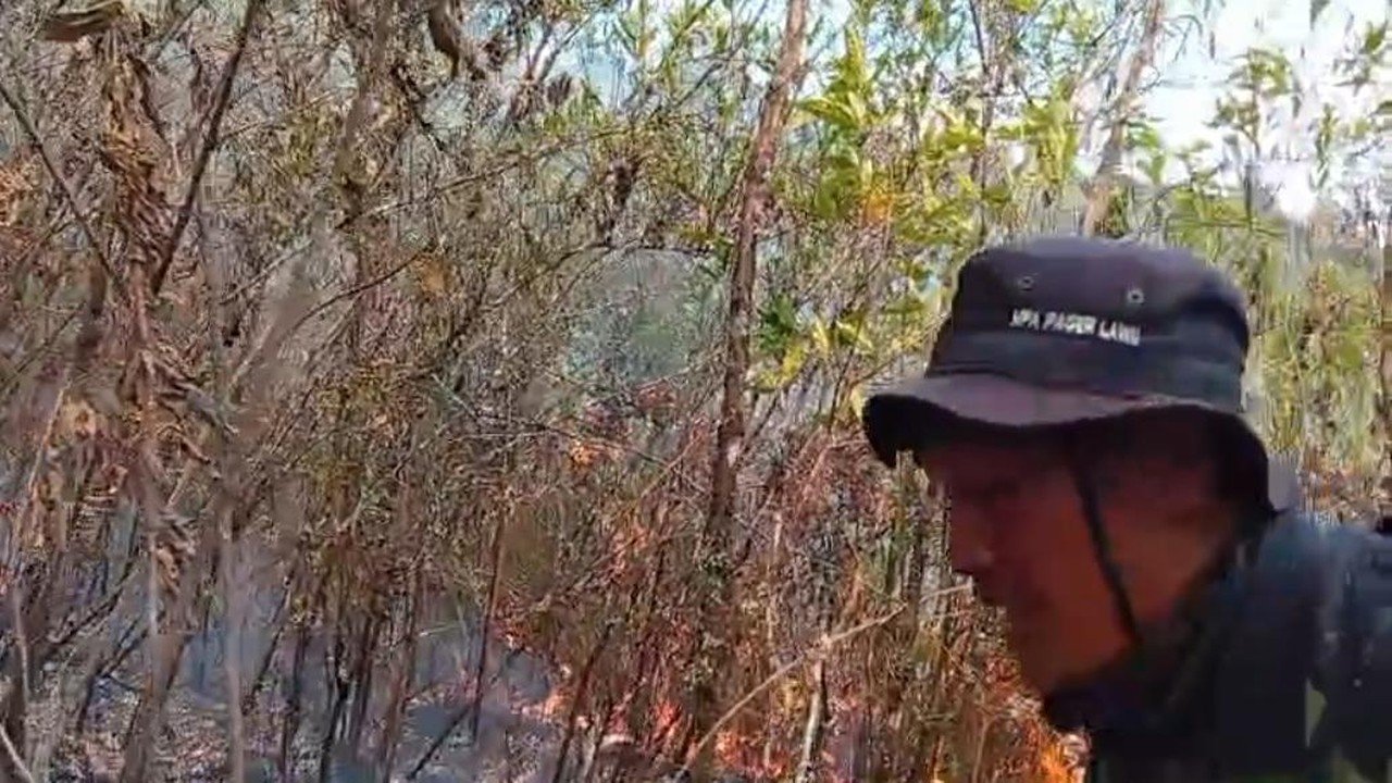 Luas Lahan Terbakar di Gunung Lawu Capai 490 Hektare, Api Dekati Sumber Air Warga