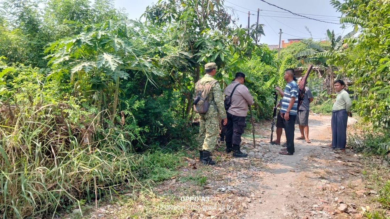 Monyet Liar Terkam Bocah 6 Tahun di Bekasi, Alami Luka di Wajah