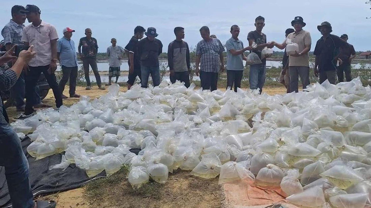 Pemulihan Tambak Pasca-Bencana Capai 1.835 Hektare di Tiga Provinsi