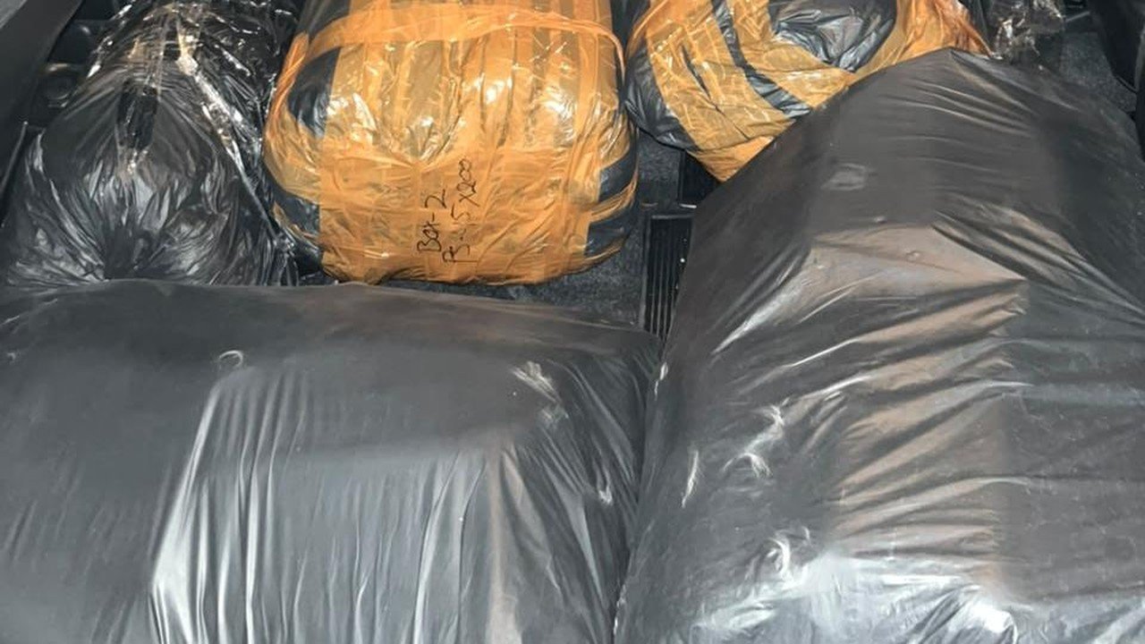 Penyelundupan 32 Ribu Benih Lobster Digagalkan di Lebak, Satu Pelaku Diamankan