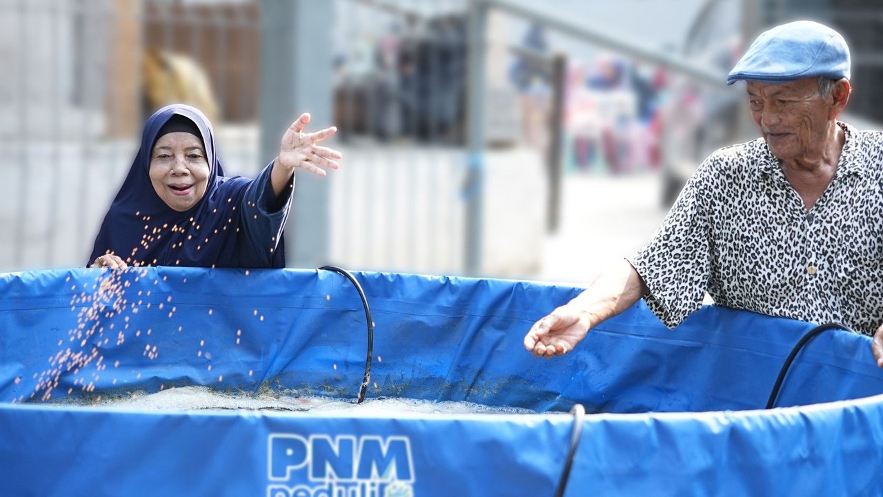 PNM Berdayakan Lansia Melalui Budidaya Ayam dan Ikan di Rumah Oma