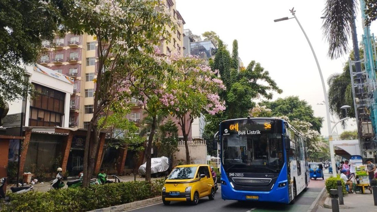 Pohon Tabebuya Ubah Jalan Cikini Jakarta Pusat Jadi Estetik