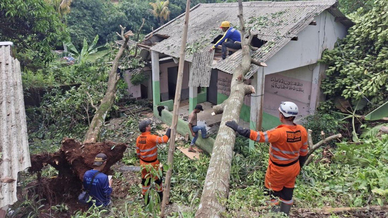 Pohon Tumbang Akibat Badai di Bogor, Satu Rumah Rusak Parah