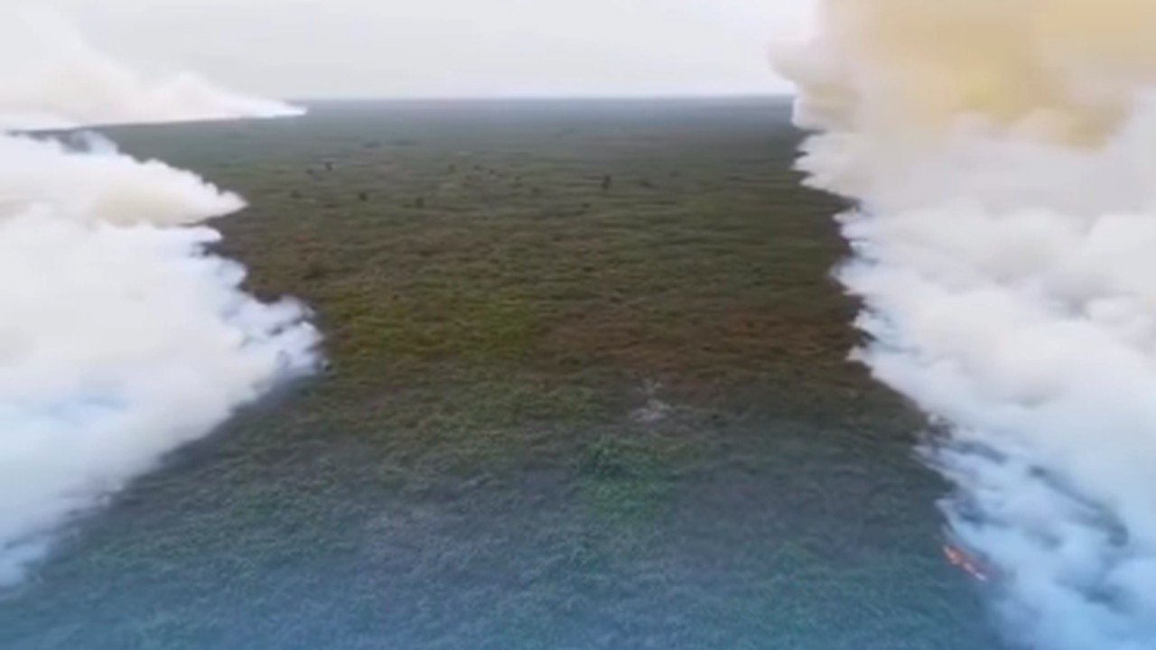 Relawan Mundur dari Karhutla Tanjung Puting, Kemenhut Ungkap Kendala Water Bombing