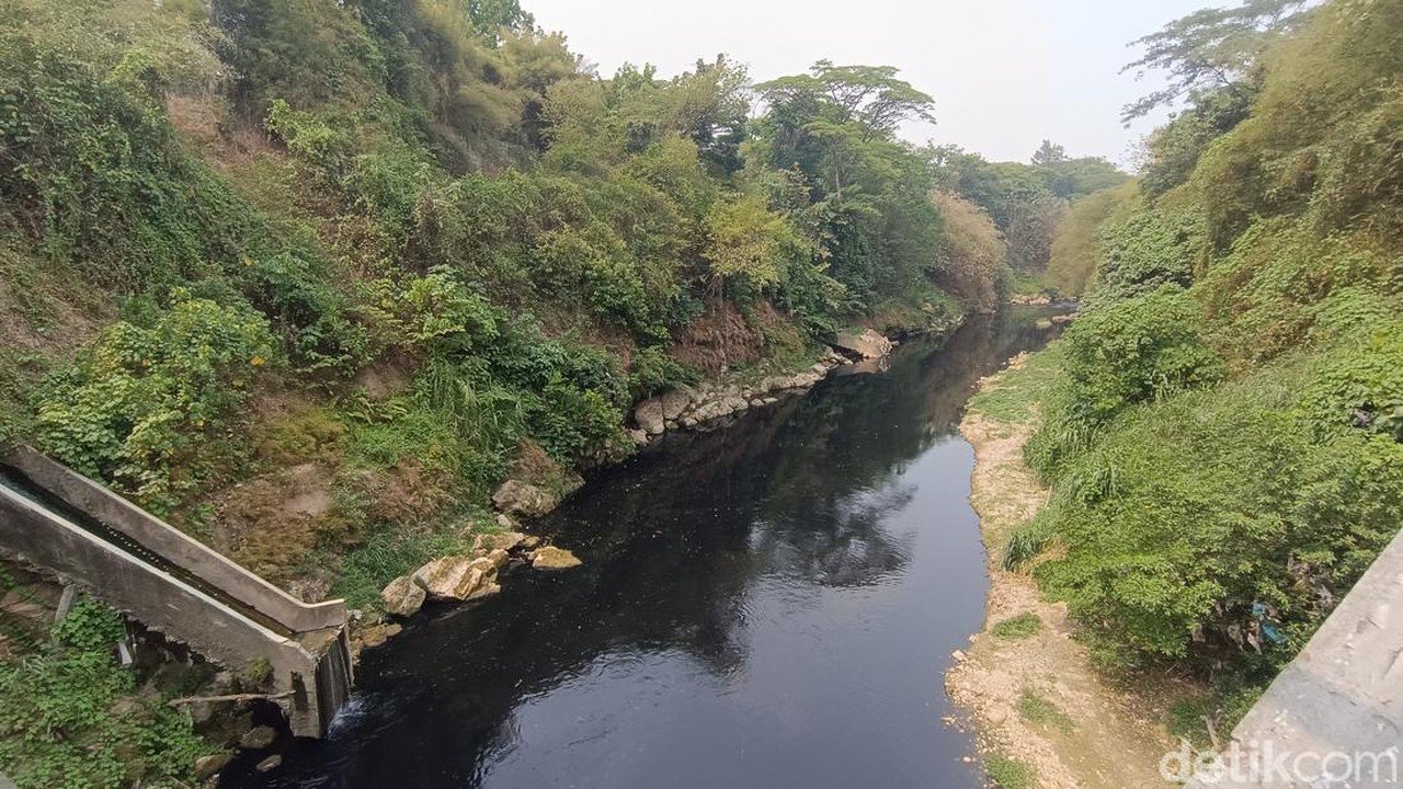 Sungai Cileungsi Bogor Tercemar, Air Berubah Hitam Pekat dan Berbau Menyengat