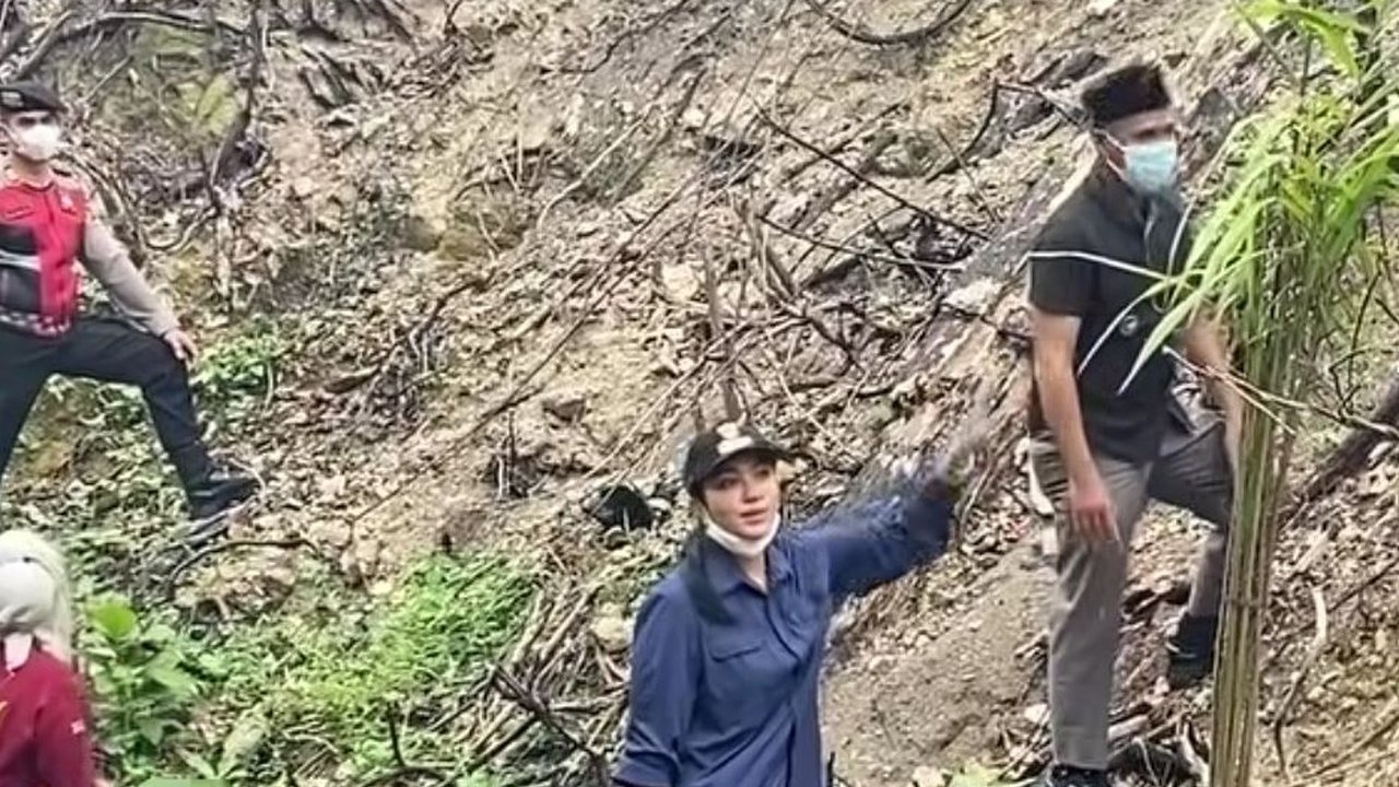 Temuan Mengejutkan: Lahan Bekas Karhutla di Dharmasraya Ditanami Sawit