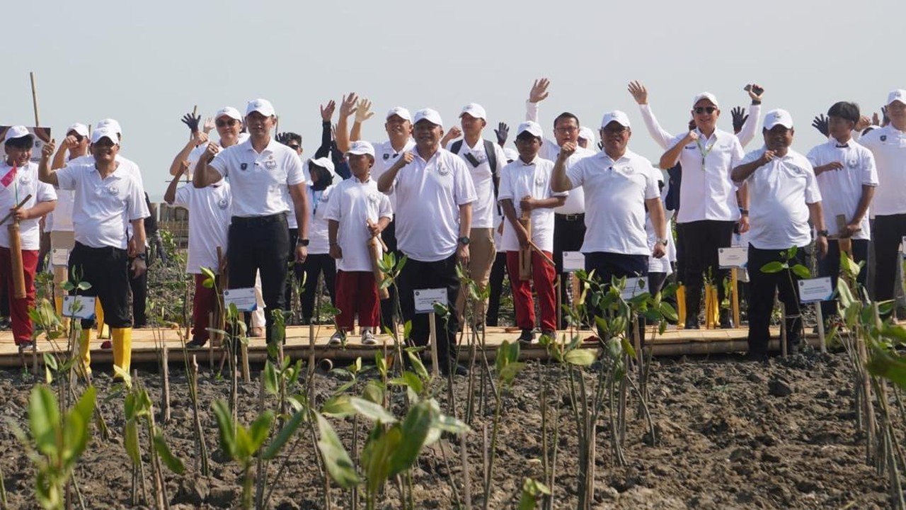 Timbulsloko Demak Jadi Lokasi Percontohan Perlindungan Pesisir Pantai Utara Jawa dengan Konsep Hybrid