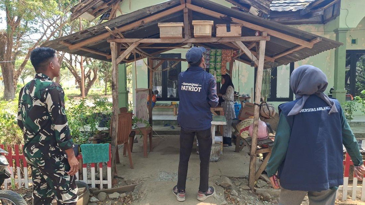 Warga Sumalata Ubah Persepsi: Lebah Trigona Bukan Hama, Tapi Sumber Madu Mahal